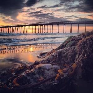 10522471_10152252308631973_2119880668315026538_n