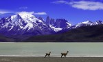 torres del Paine chile