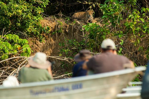 10322654_10152013439595388_440949334559707072_n