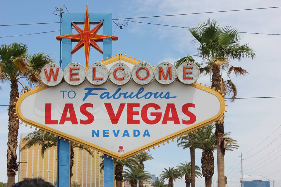 1184929_10152191556618228_1038981754_n