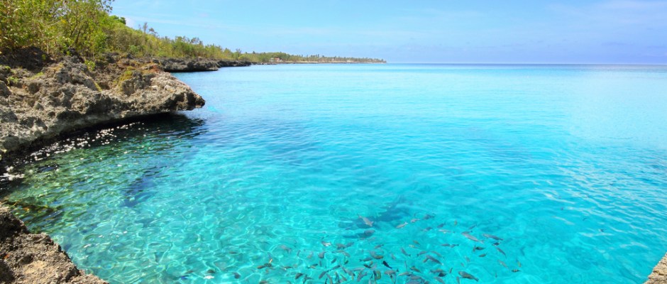 4606597540_e980a4bcde_b