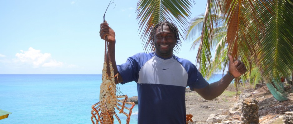 4618988115_c60daa8ca5_b (1)