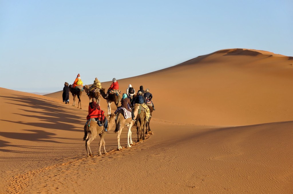 viaje-por-el-sahara-a-traves-de-camellos-cruzando-el-desierto-