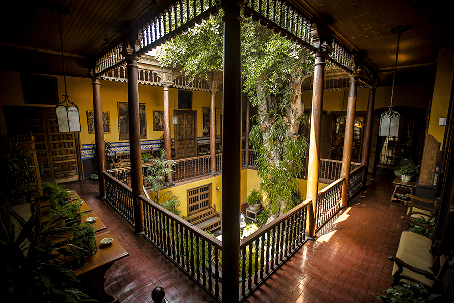 Casa-Aliaga-Ficus-Patio
