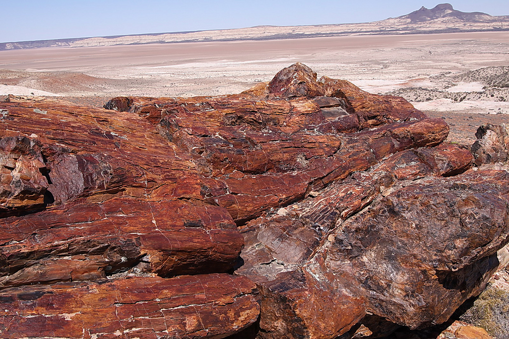 4065965746_208c3c18ff_b