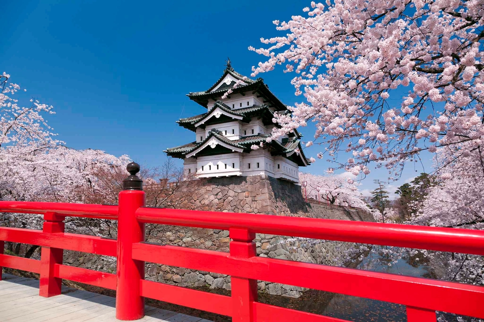 Razones para ir a Japón